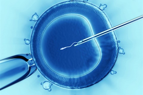 http://shenyang.vdtfzz.com/post/198.html|沈阳代生助孕