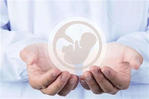 http://shenyang.vdtfzz.com/post/214.html|沈阳人工试管